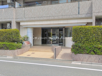 �G���g�����X�@-