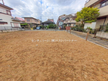 ���n�y�n�ʐ^�@-