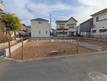 ���n�y�n�ʐ^�@-