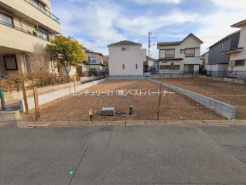 ���n�y�n�ʐ^�@-