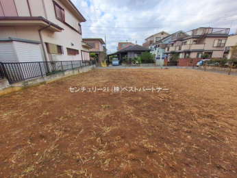 ���n�y�n�ʐ^�@-