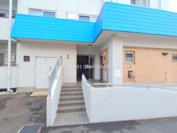 �G���g�����X�@-