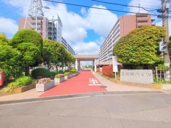 �G���g�����X�@-