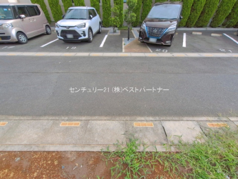 ���n�y�n�ʐ^�@-