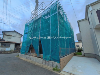 ���n�O�ώʐ^�@-